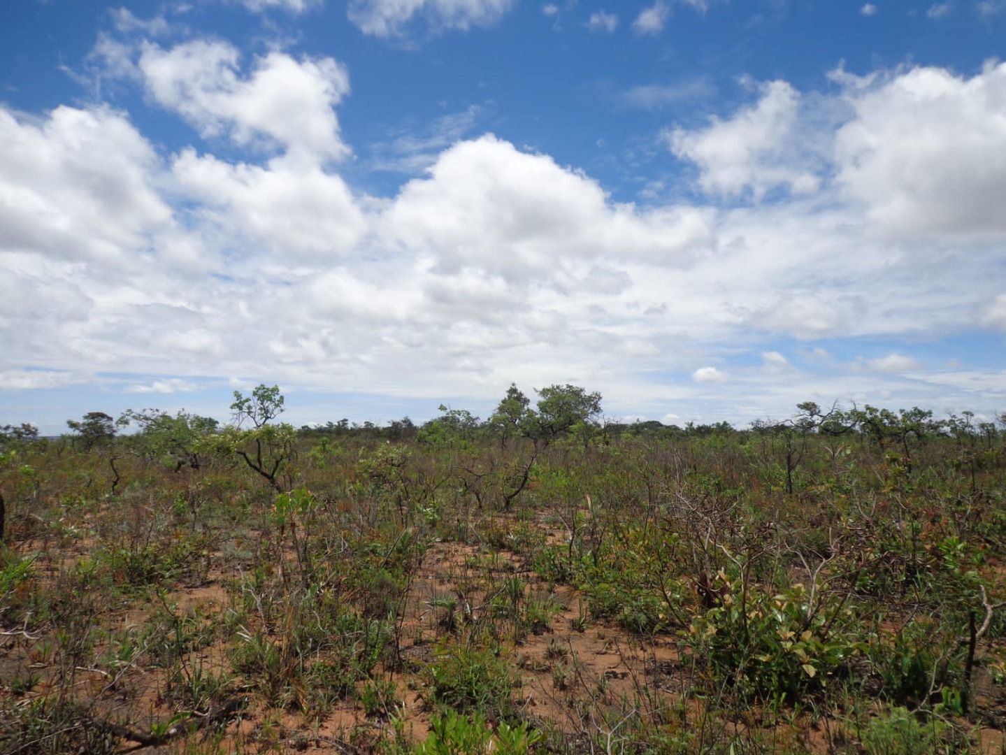 Chácara à venda com 1 quarto, 17650000m² - Foto 11