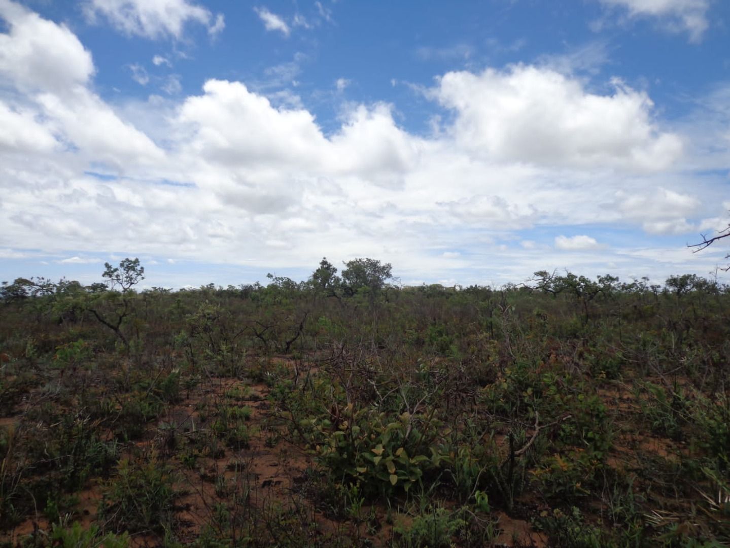 Chácara à venda com 1 quarto, 17650000m² - Foto 10