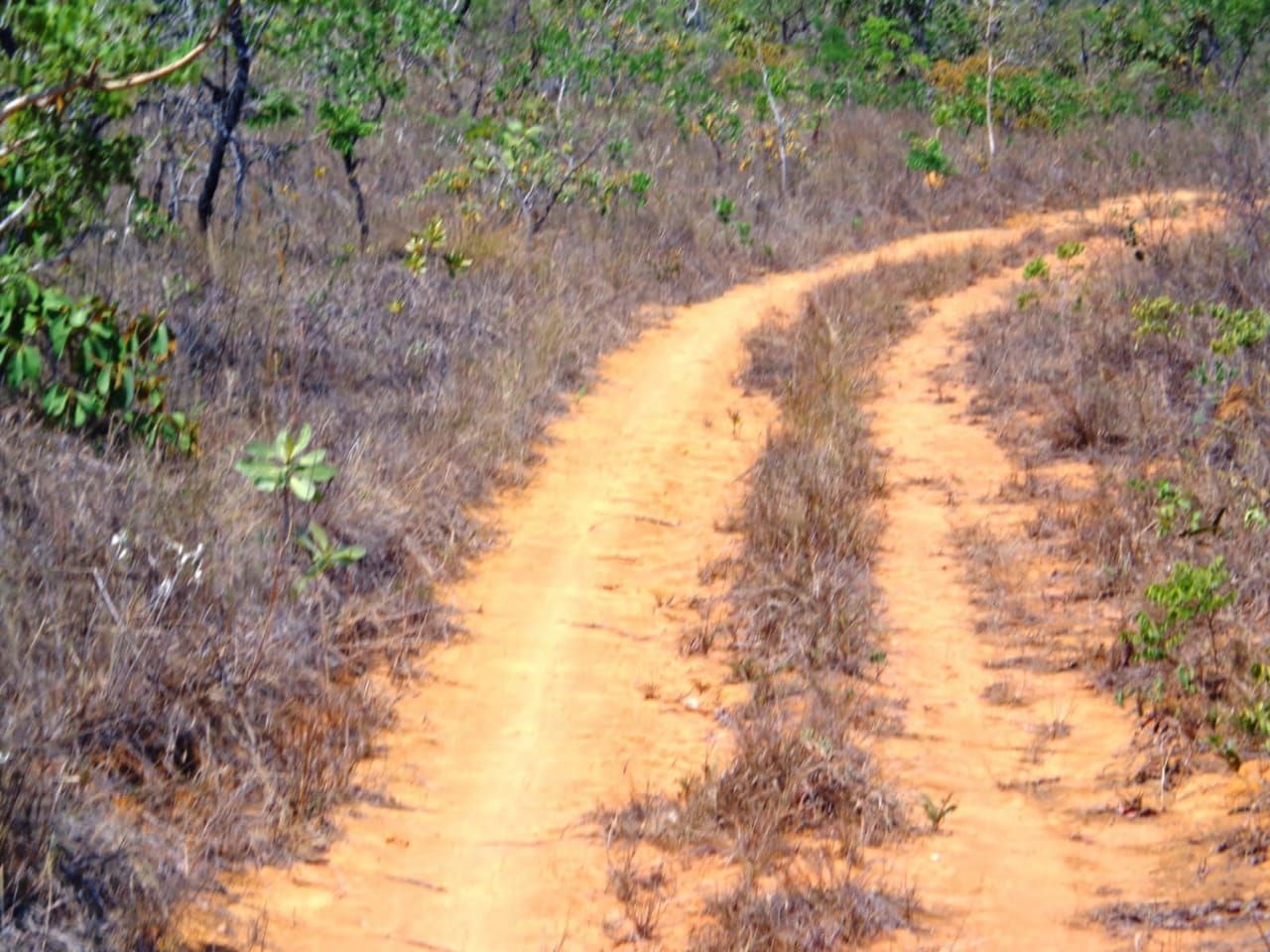 Chácara à venda com 1 quarto, 17650000m² - Foto 6