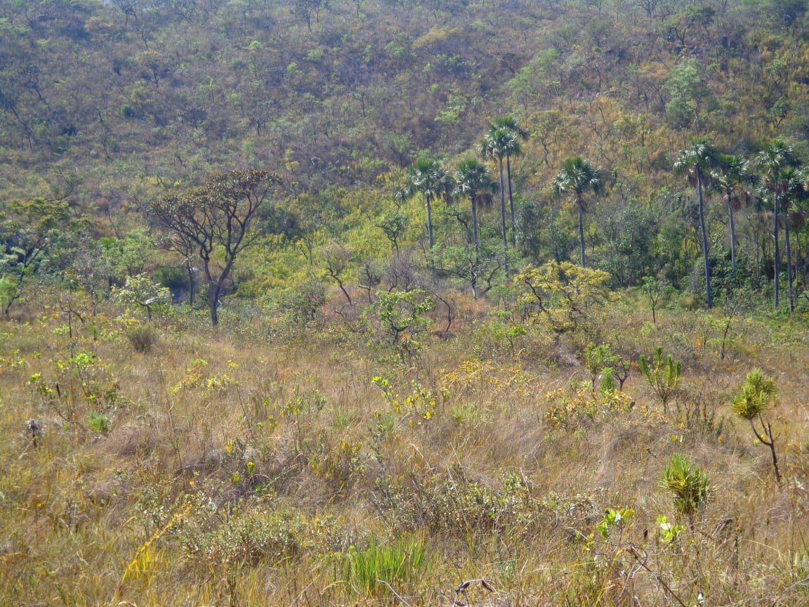 Chácara à venda com 1 quarto, 17650000m² - Foto 14