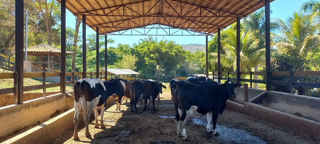 Chácara à venda com 4 quartos, 600000m² - Foto 1