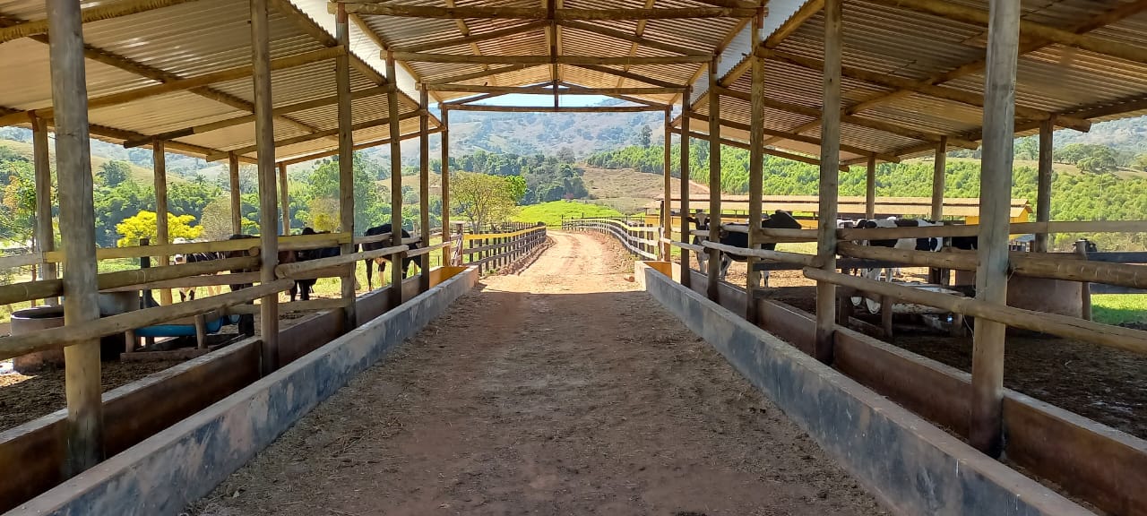 Chácara à venda com 4 quartos, 600000m² - Foto 16