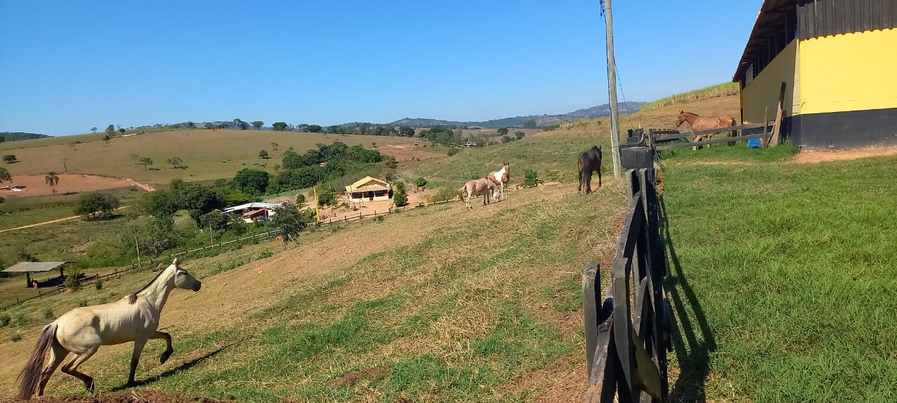 Chácara à venda com 4 quartos, 600000m² - Foto 18