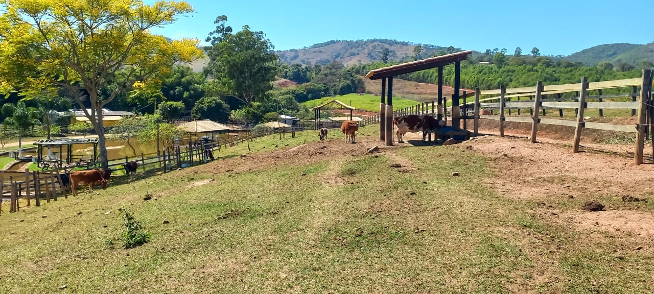 Chácara à venda com 4 quartos, 600000m² - Foto 17