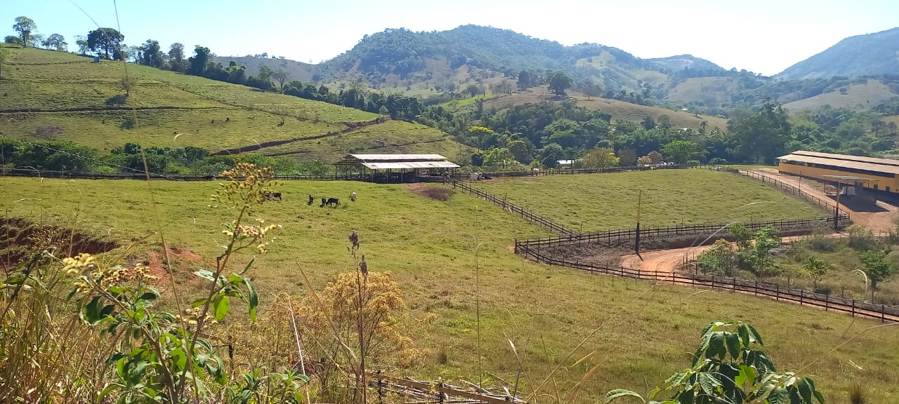 Chácara à venda com 4 quartos, 600000m² - Foto 4