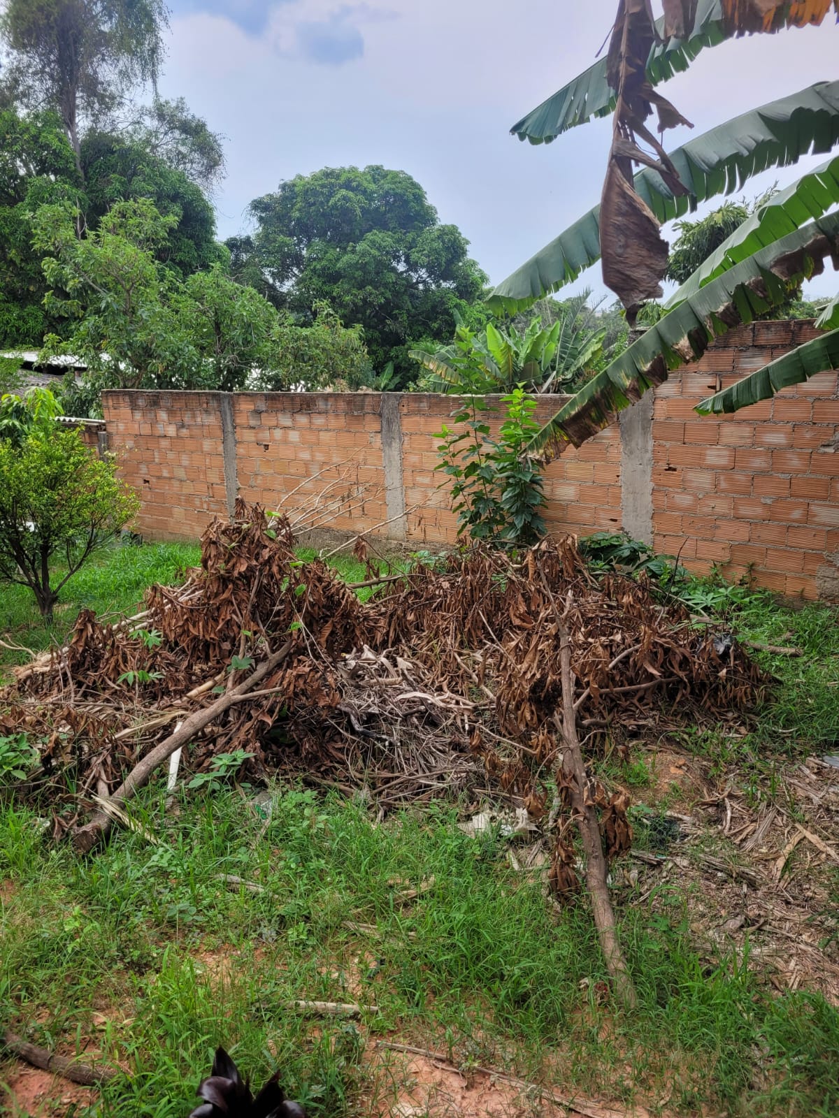 Casa à venda com 2 quartos, 500m² - Foto 11