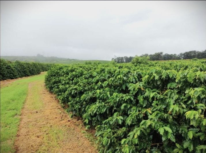 Chácara à venda com 1 quarto, 1020000m² - Foto 1