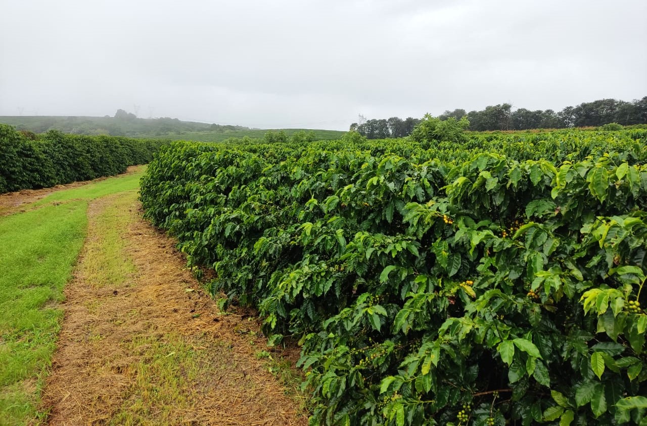 Chácara à venda com 1 quarto, 1020000m² - Foto 6