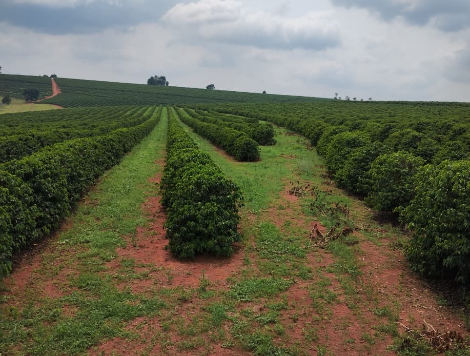 Chácara à venda com 1 quarto, 1020000m² - Foto 11