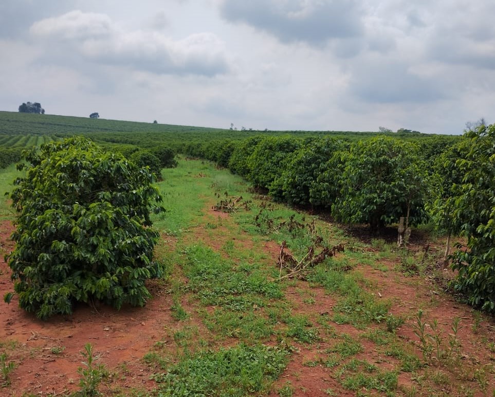 Chácara à venda com 1 quarto, 1020000m² - Foto 13