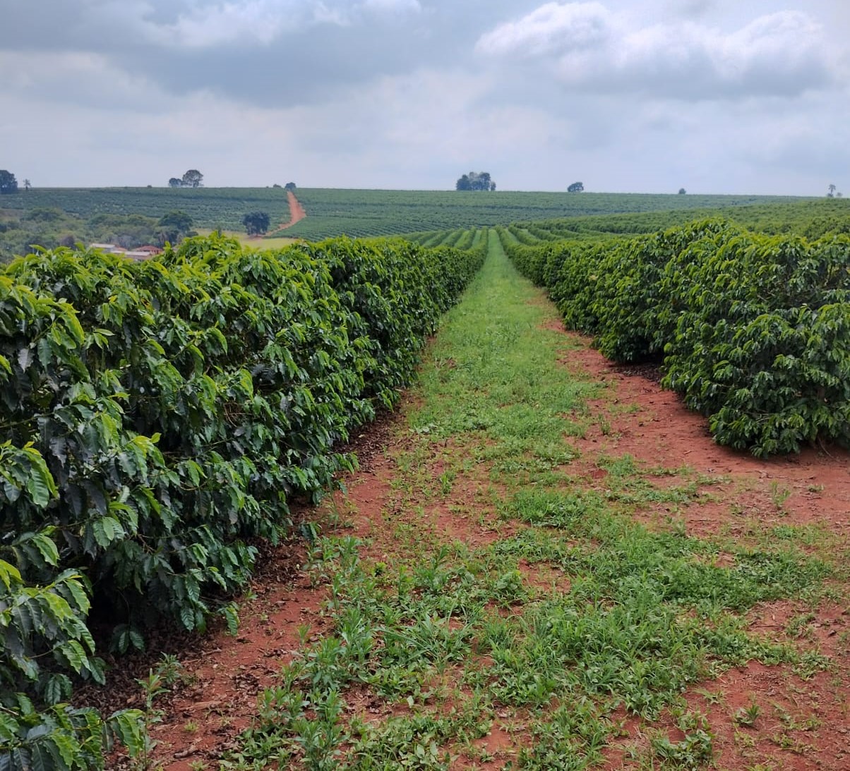 Chácara à venda com 1 quarto, 1020000m² - Foto 14