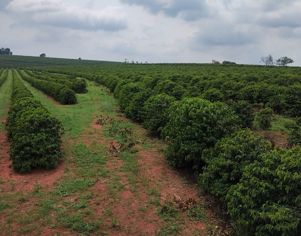 Chácara à venda com 1 quarto, 1020000m² - Foto 10