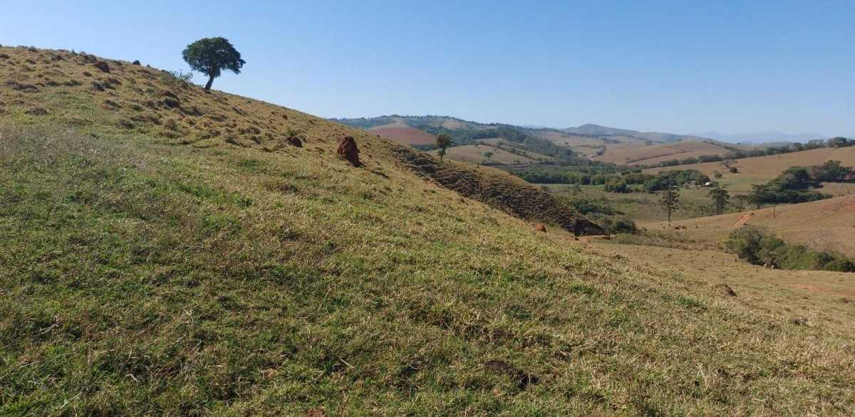 Chácara à venda com 1 quarto, 1020000m² - Foto 21