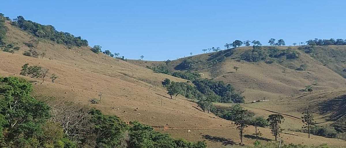 Chácara à venda com 1 quarto, 1020000m² - Foto 23