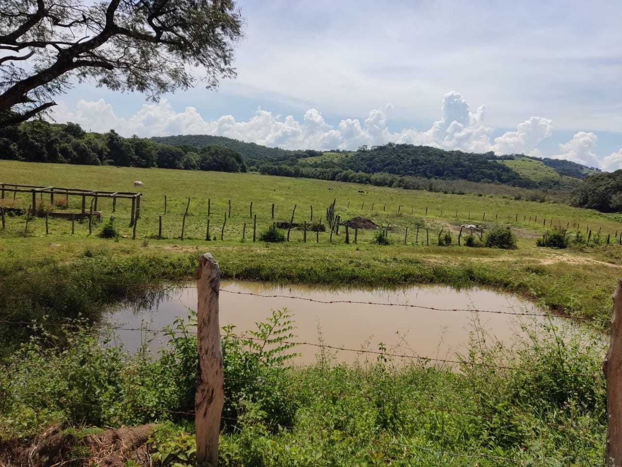 Chácara à venda com 1 quarto, 1020000m² - Foto 5