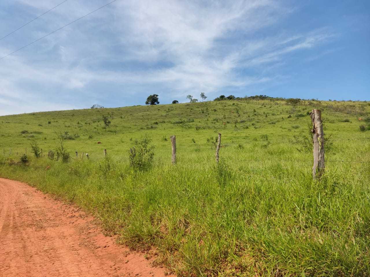 Chácara, 1 quarto, 102 hectares - Foto 1