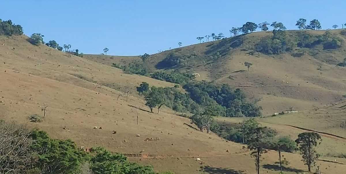 Chácara à venda com 1 quarto, 1020000m² - Foto 17