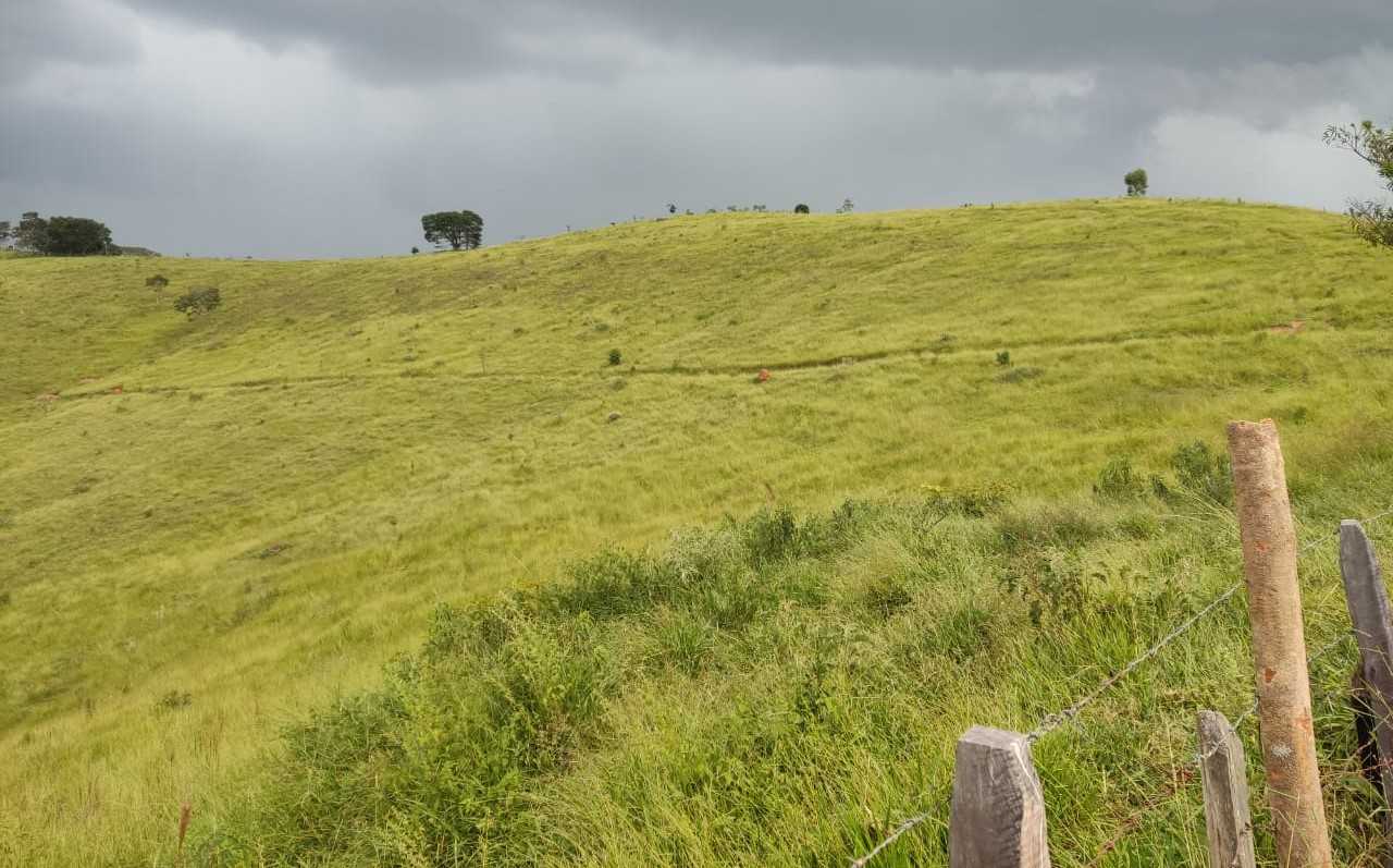 Chácara à venda com 1 quarto, 1020000m² - Foto 9