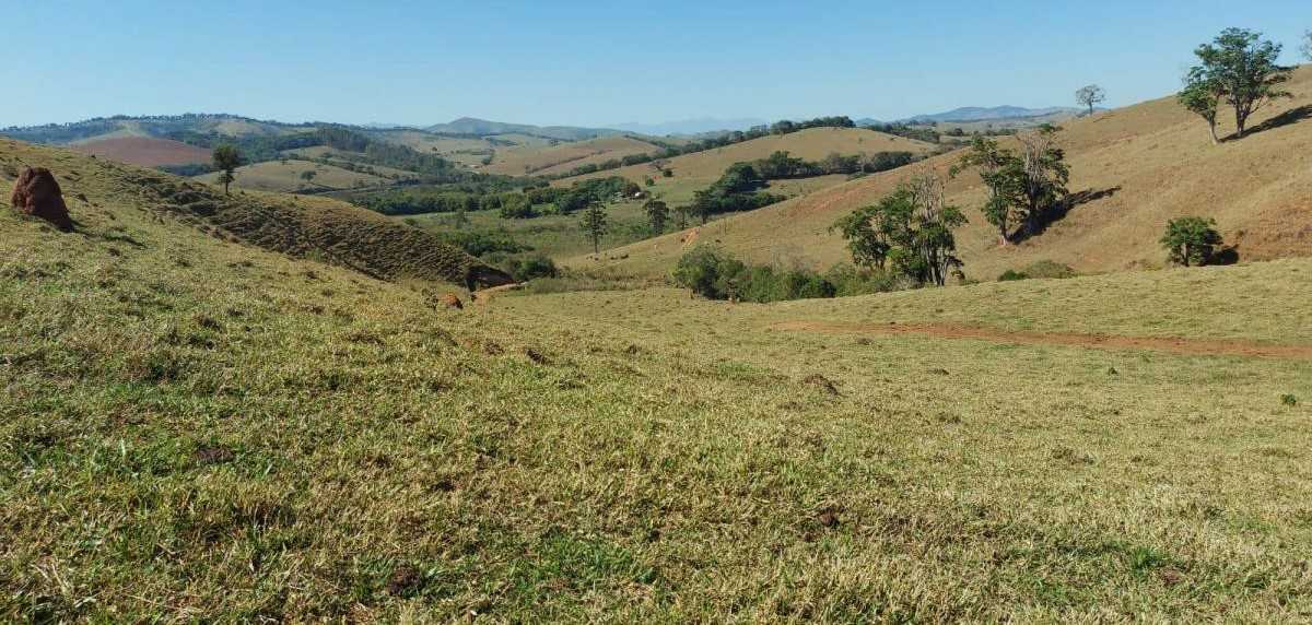 Chácara à venda com 1 quarto, 1020000m² - Foto 14