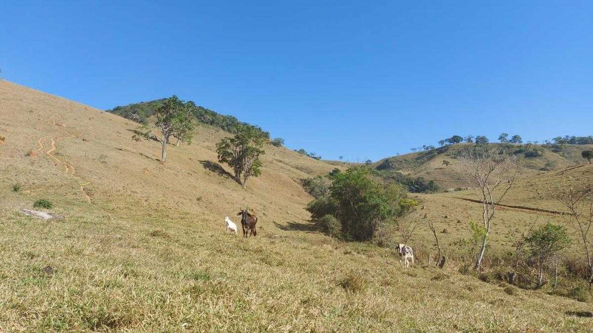 Chácara à venda com 1 quarto, 1020000m² - Foto 20