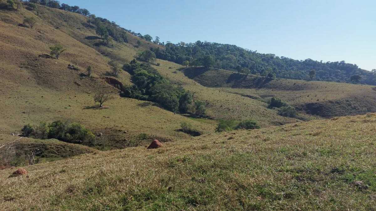 Chácara à venda com 1 quarto, 1020000m² - Foto 16