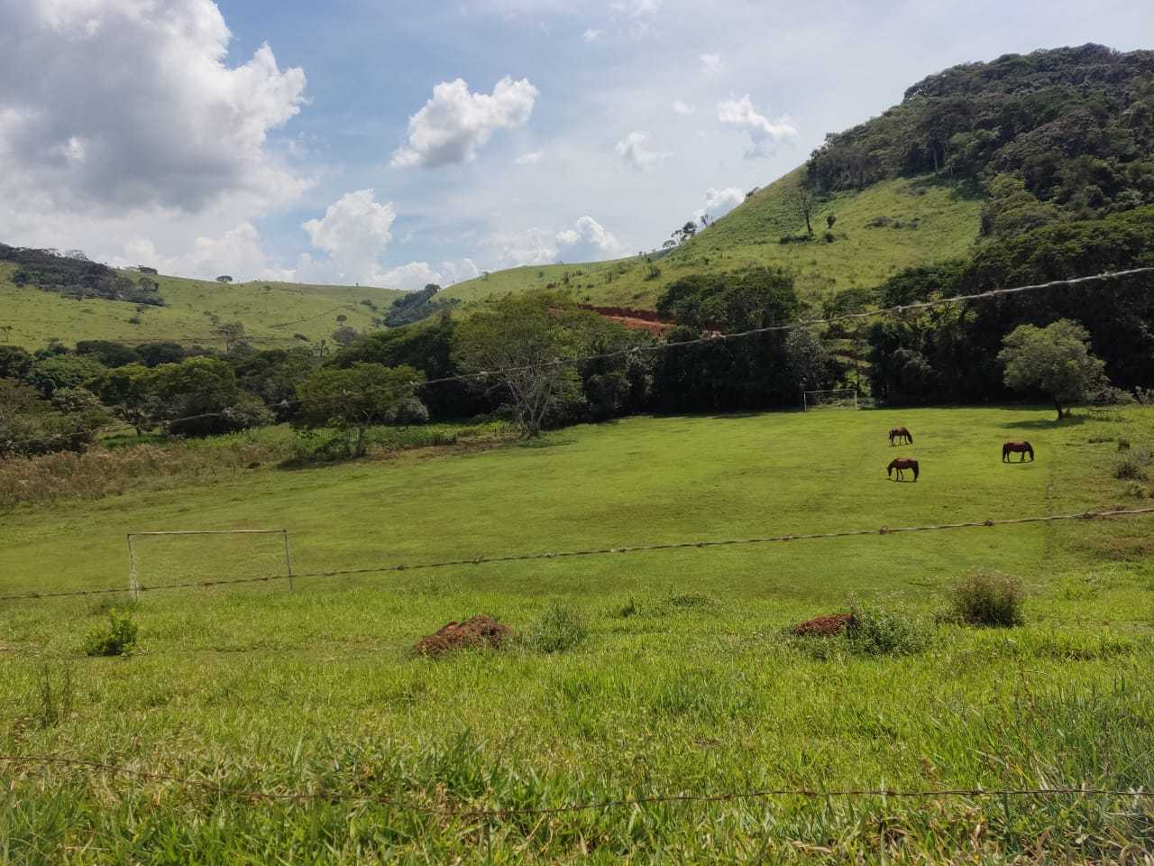 Chácara à venda com 1 quarto, 1020000m² - Foto 4