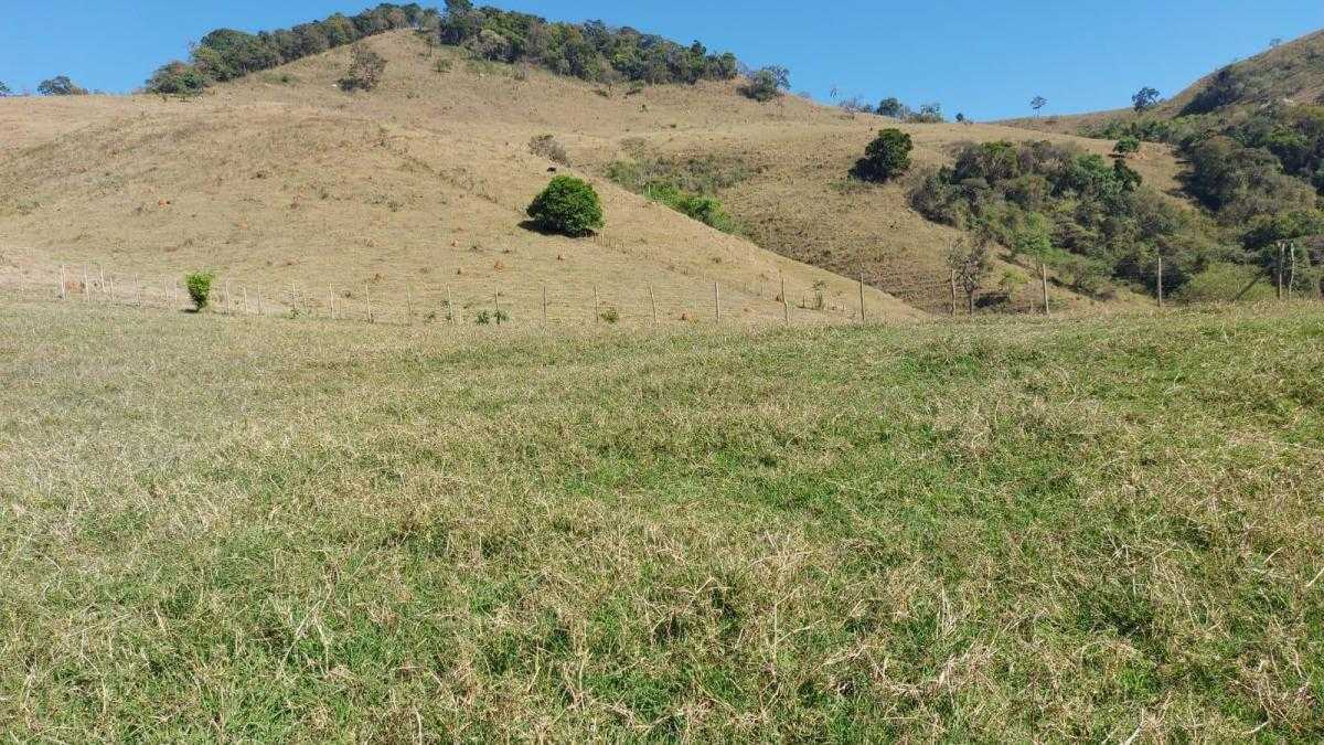 Chácara à venda com 1 quarto, 1020000m² - Foto 7