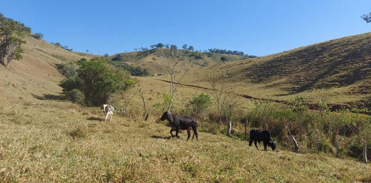 Chácara à venda com 1 quarto, 1020000m² - Foto 24