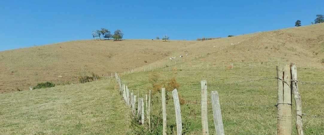 Chácara à venda com 1 quarto, 1020000m² - Foto 11