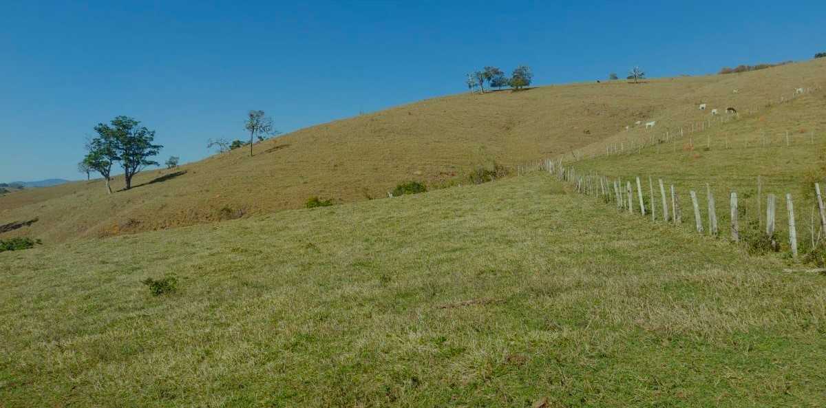 Chácara à venda com 1 quarto, 1020000m² - Foto 10