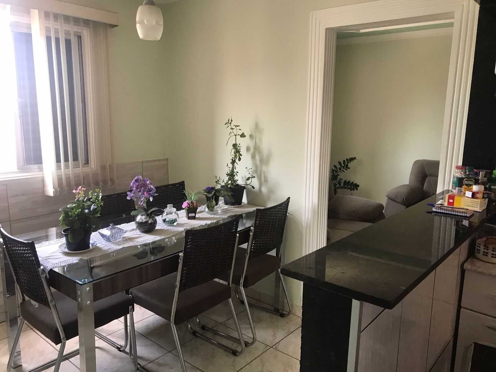 Apartamento à venda com 3 quartos, 56m² - Foto 7