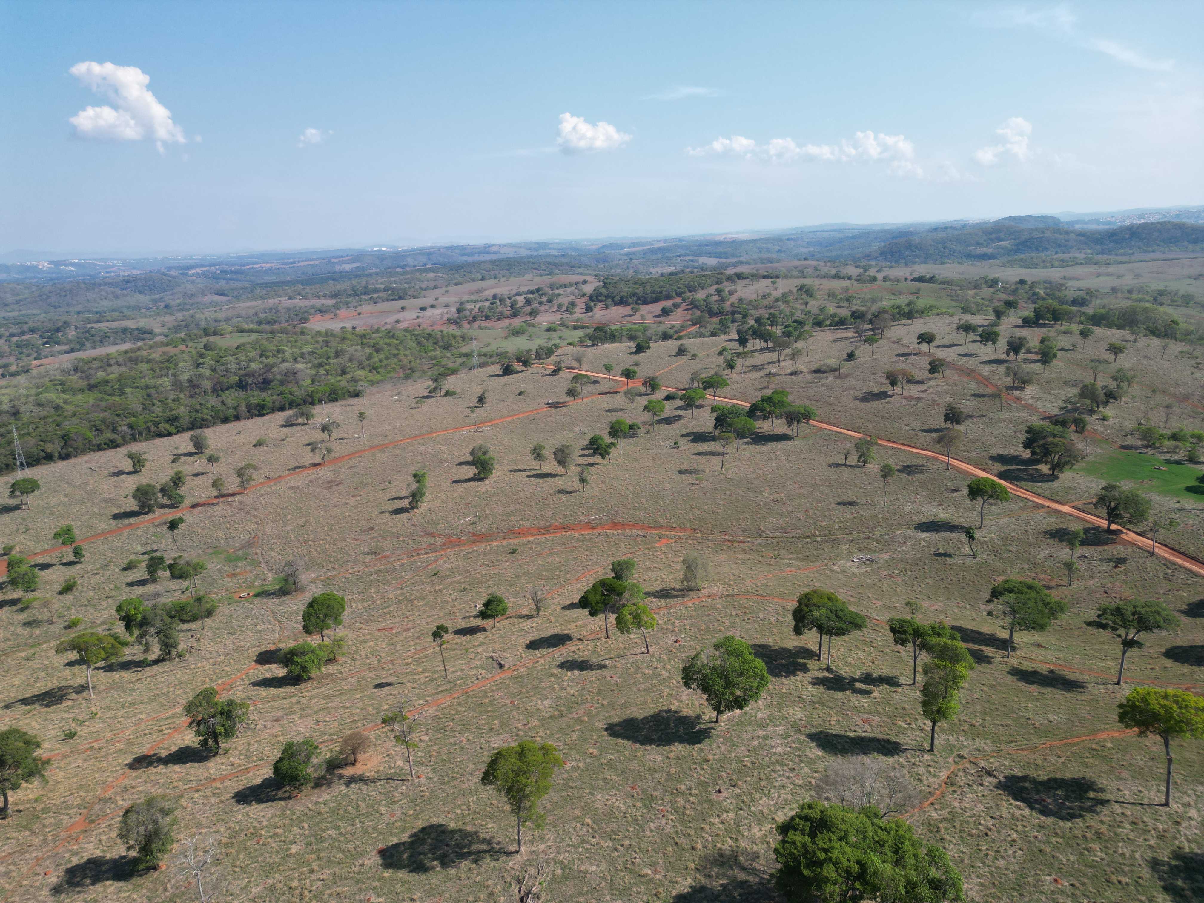 Terreno à venda, 20000m² - Foto 1