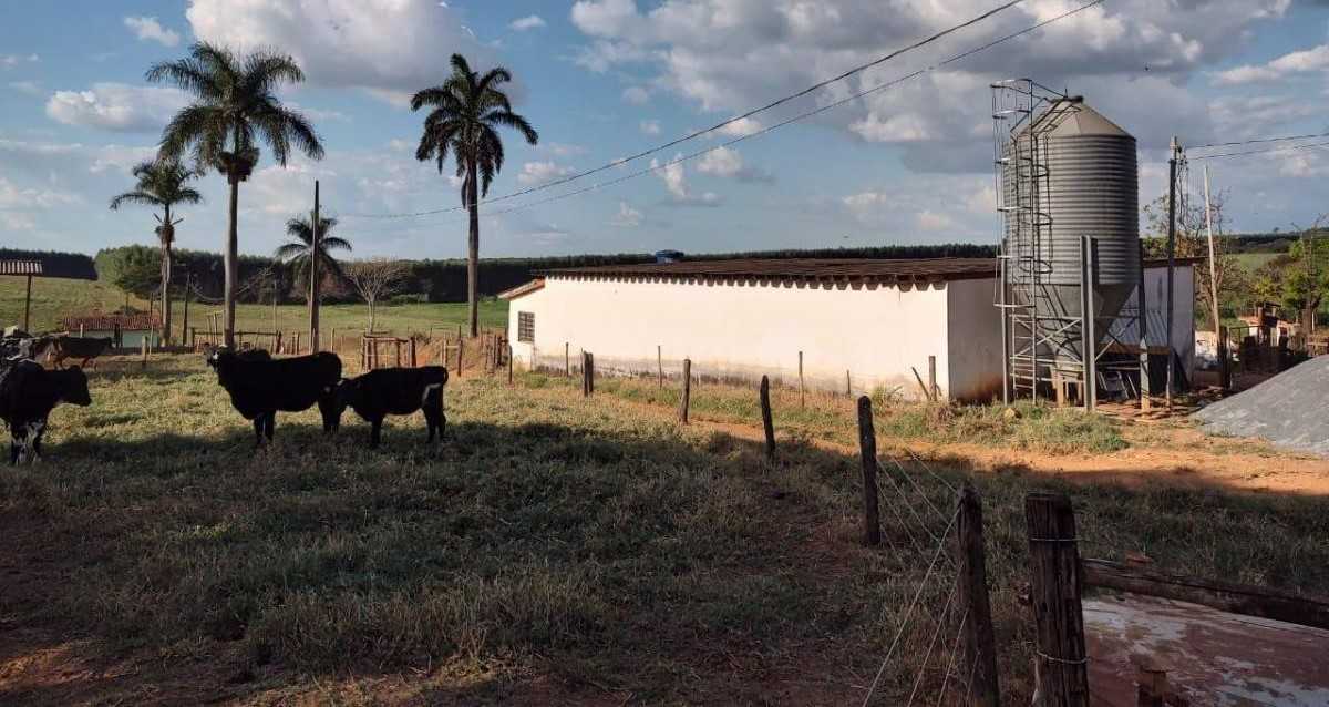 Chácara à venda com 1 quarto, 1480000m² - Foto 11