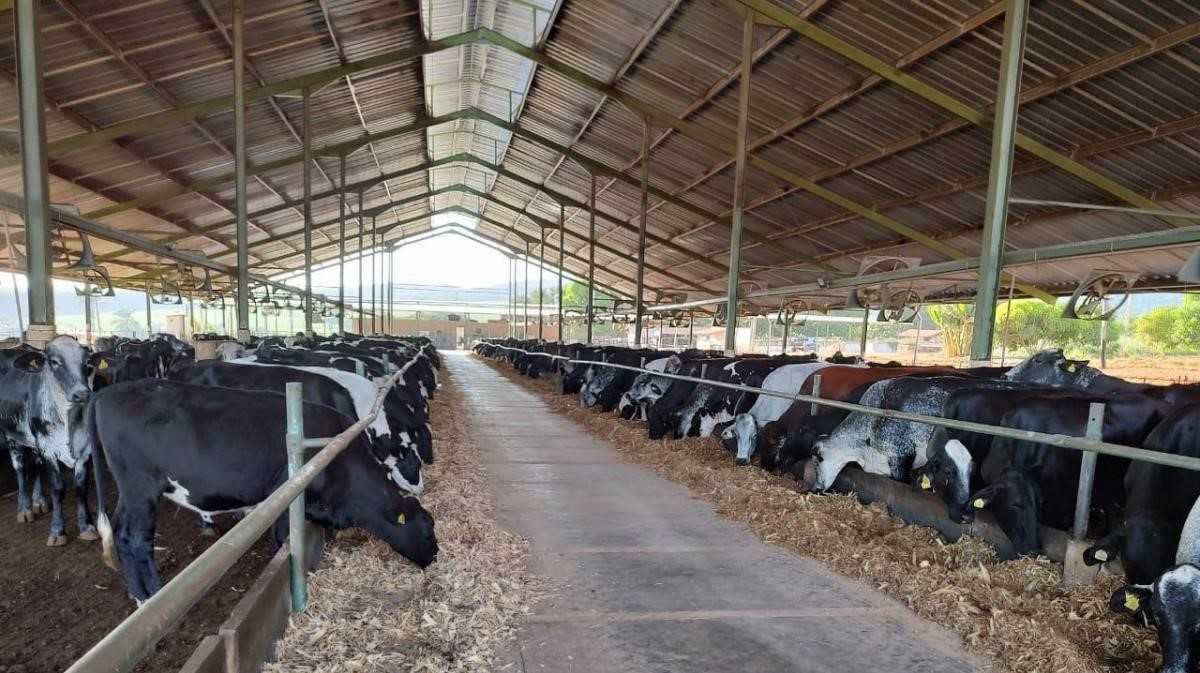 Chácara à venda com 1 quarto, 1480000m² - Foto 21