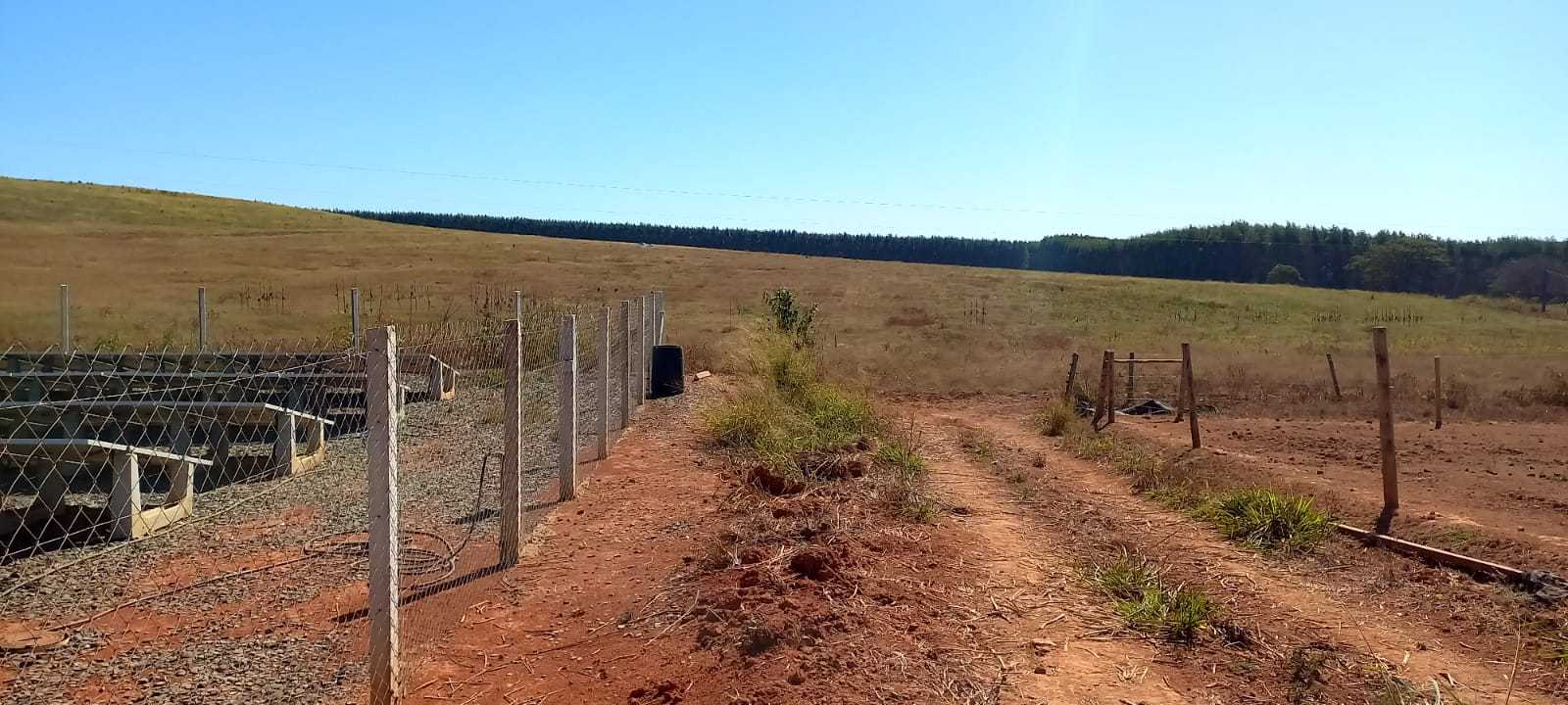 Chácara, 1 quarto, 148 hectares - Foto 3