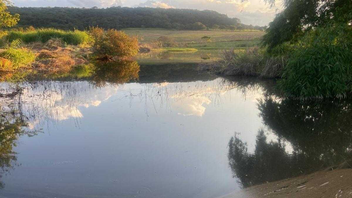 Chácara, 1 quarto, 148 hectares - Foto 4