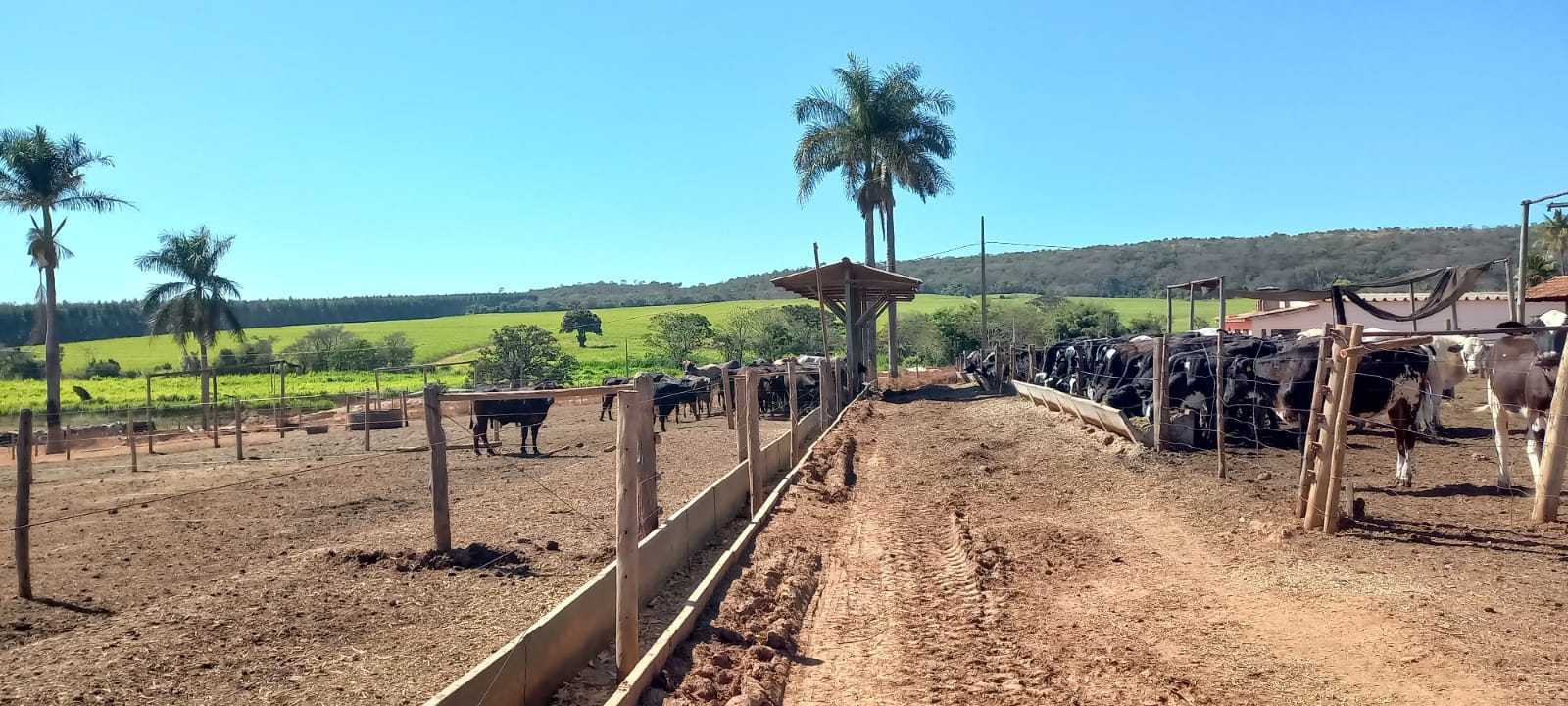 Chácara à venda com 1 quarto, 1480000m² - Foto 9