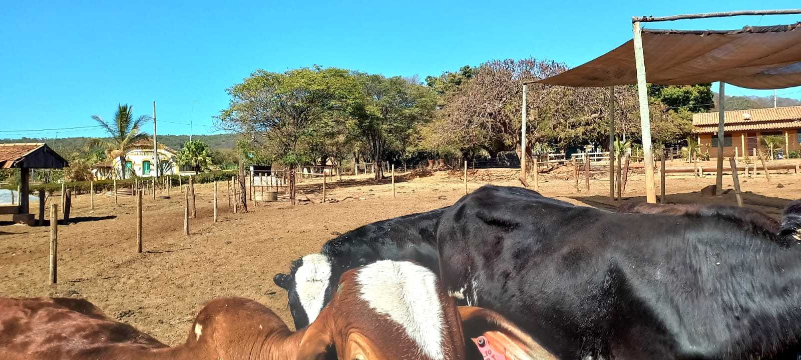 Chácara à venda com 1 quarto, 1480000m² - Foto 12