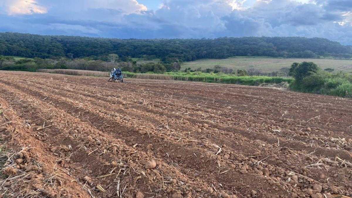 Chácara, 1 quarto, 148 hectares - Foto 1