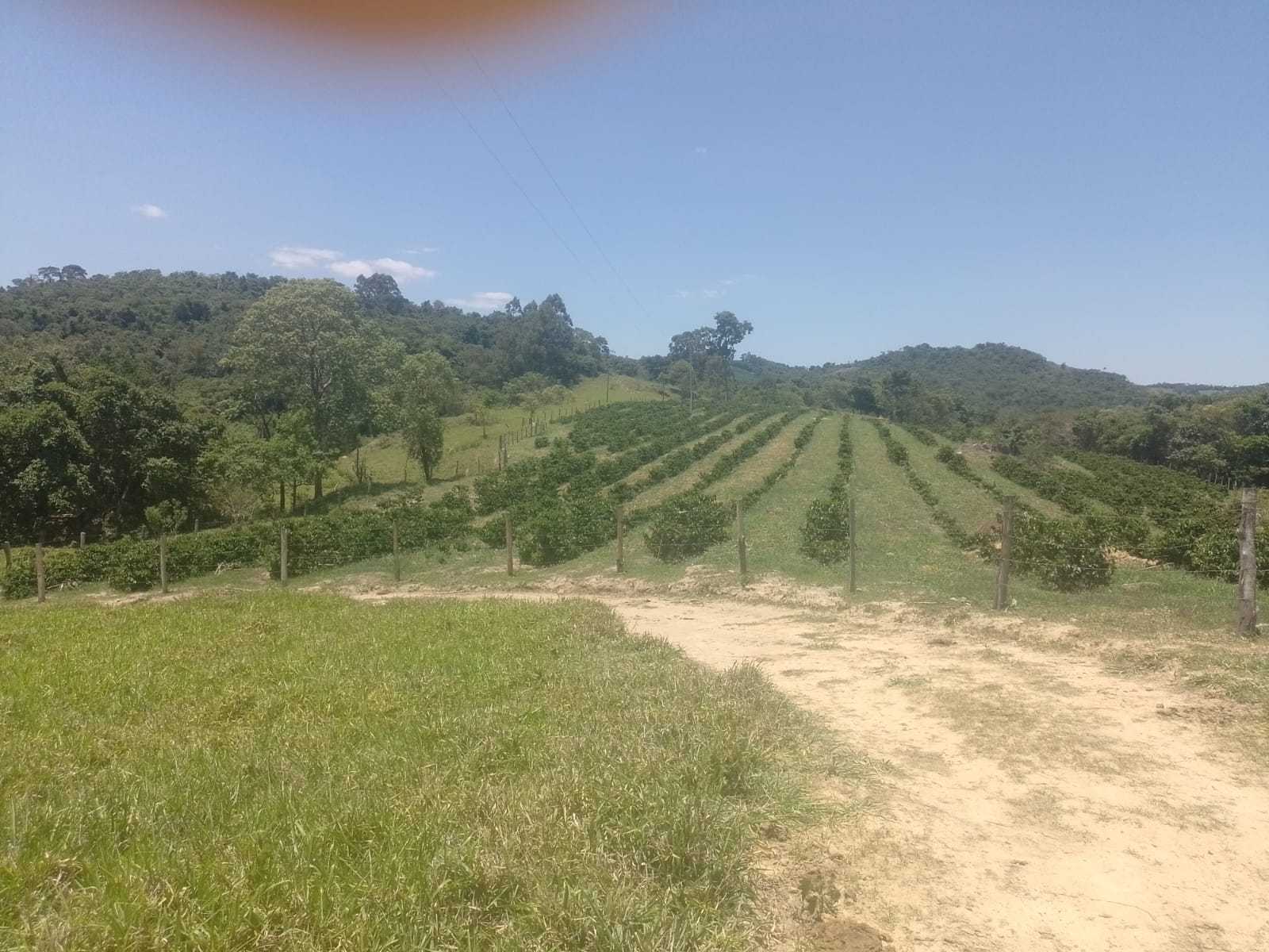 Chácara à venda com 1 quarto, 120000m² - Foto 7