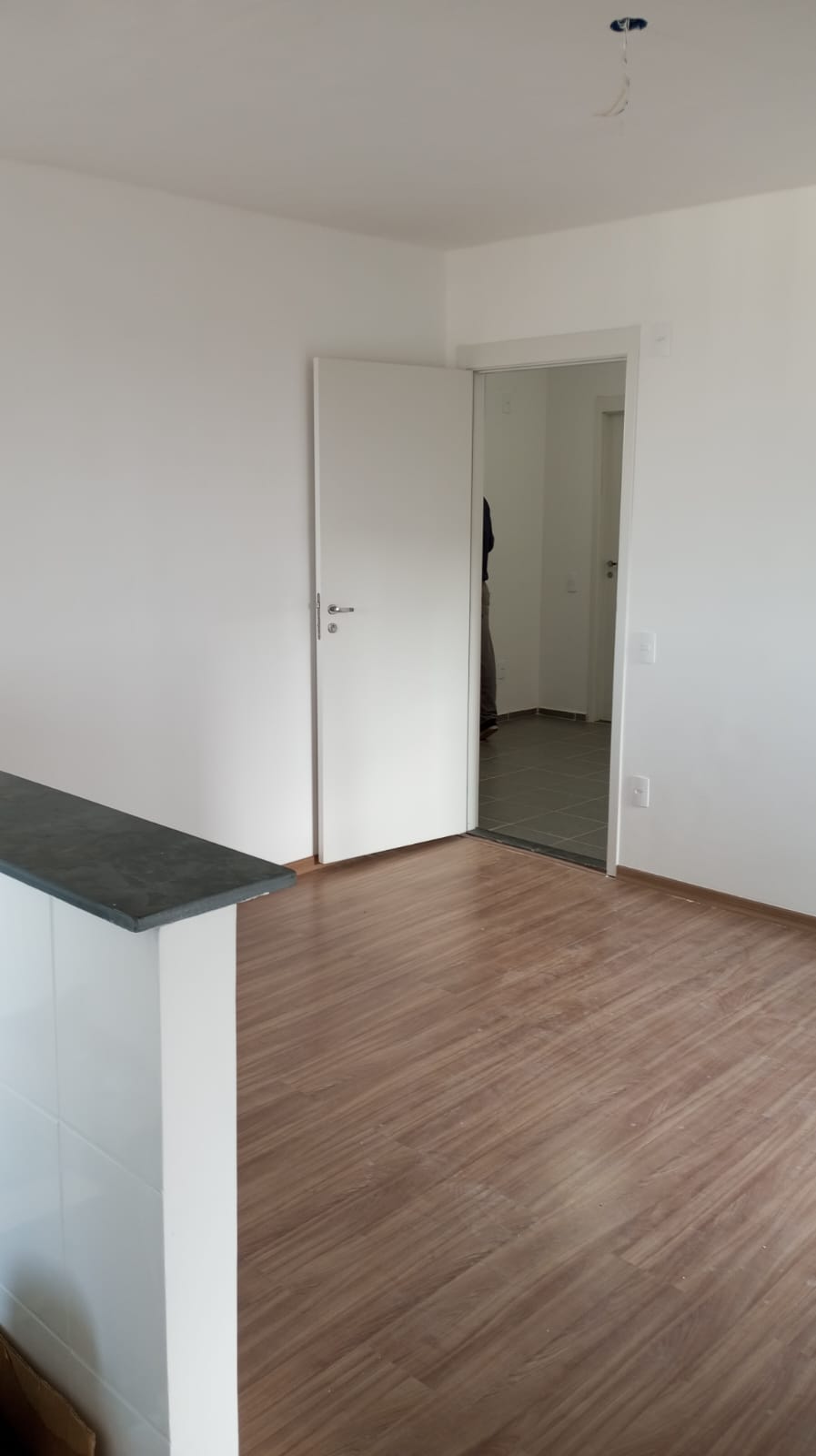 Apartamento à venda com 2 quartos, 45m² - Foto 16