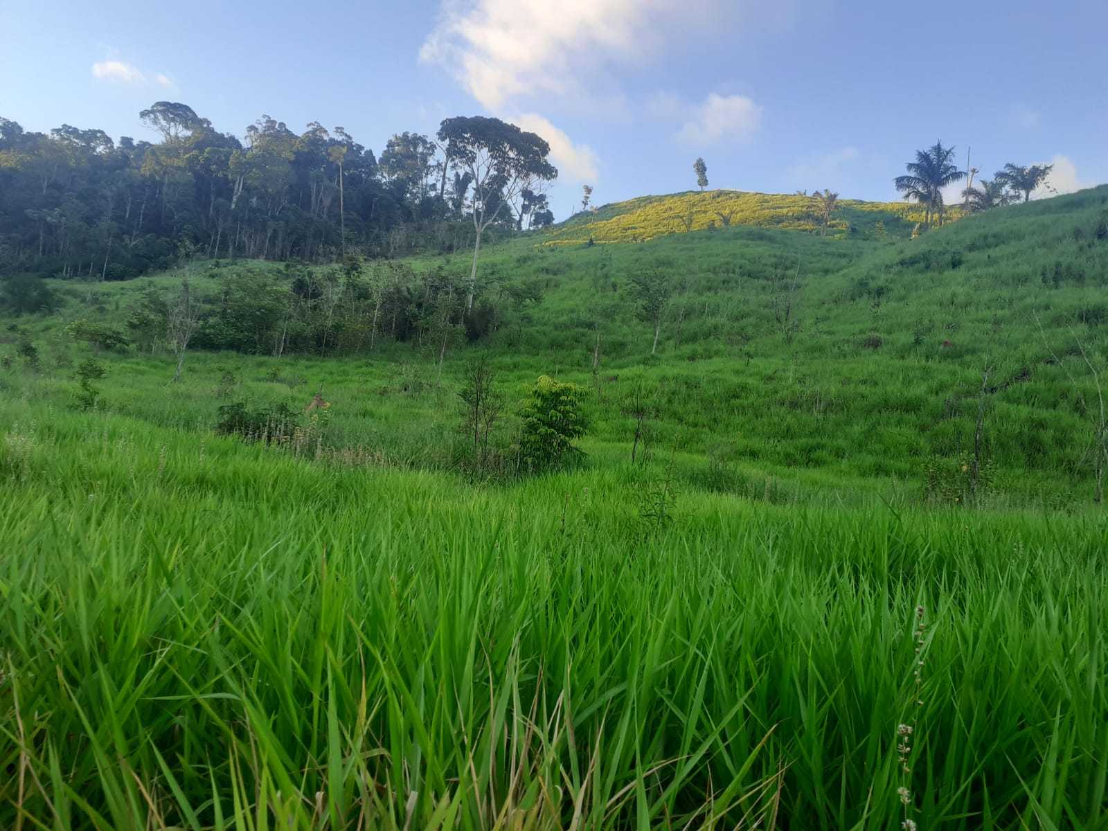 Chácara à venda com 1 quarto, 11616000m² - Foto 6