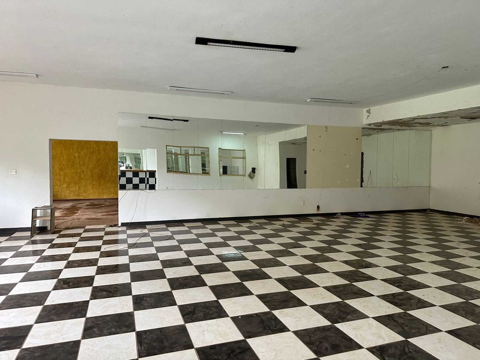 Loja-Salão à venda com 30 quartos, 10000m² - Foto 4