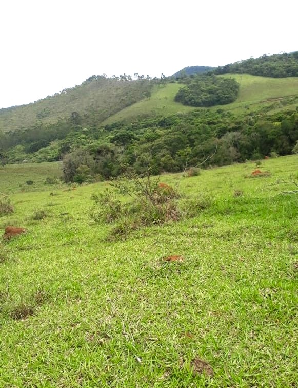 Chácara à venda com 3 quartos, 4180000m² - Foto 6