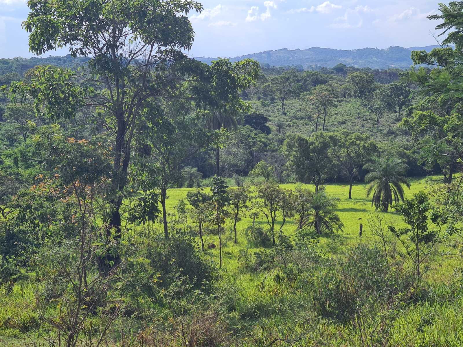 Terreno à venda, 66690m² - Foto 6