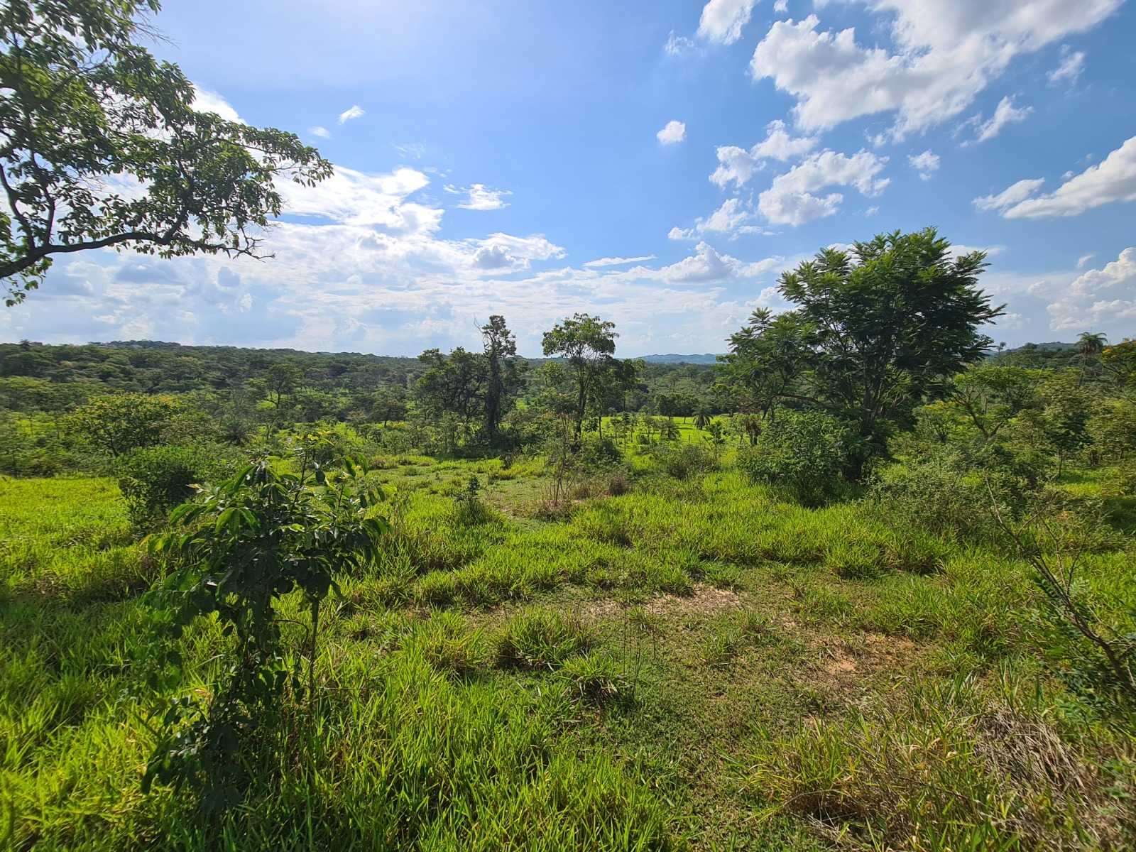 Terreno à venda, 66690m² - Foto 3