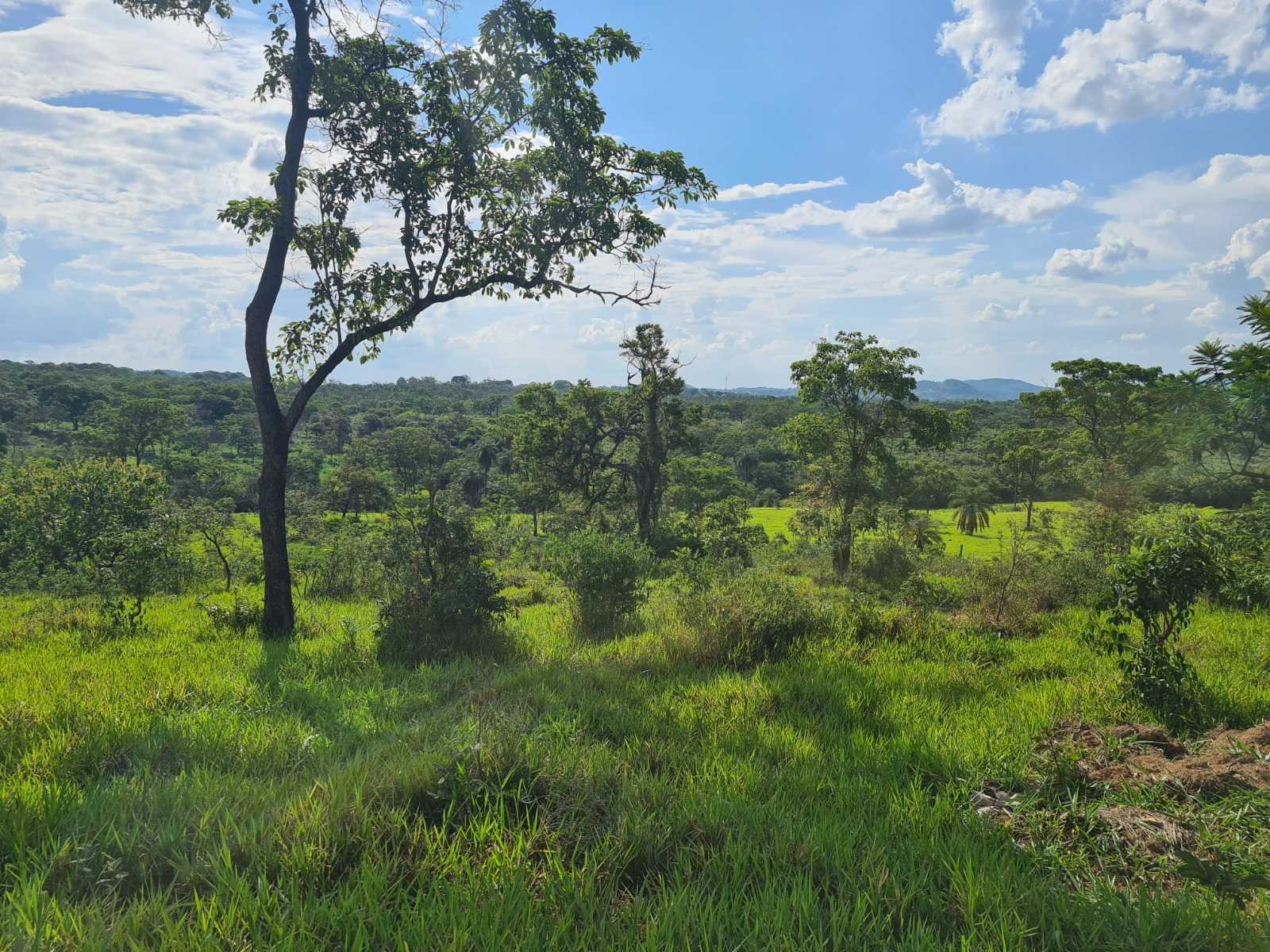 Terreno à venda, 66690m² - Foto 11