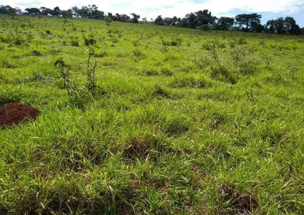 Chácara à venda com 1 quarto, 2510000m² - Foto 7