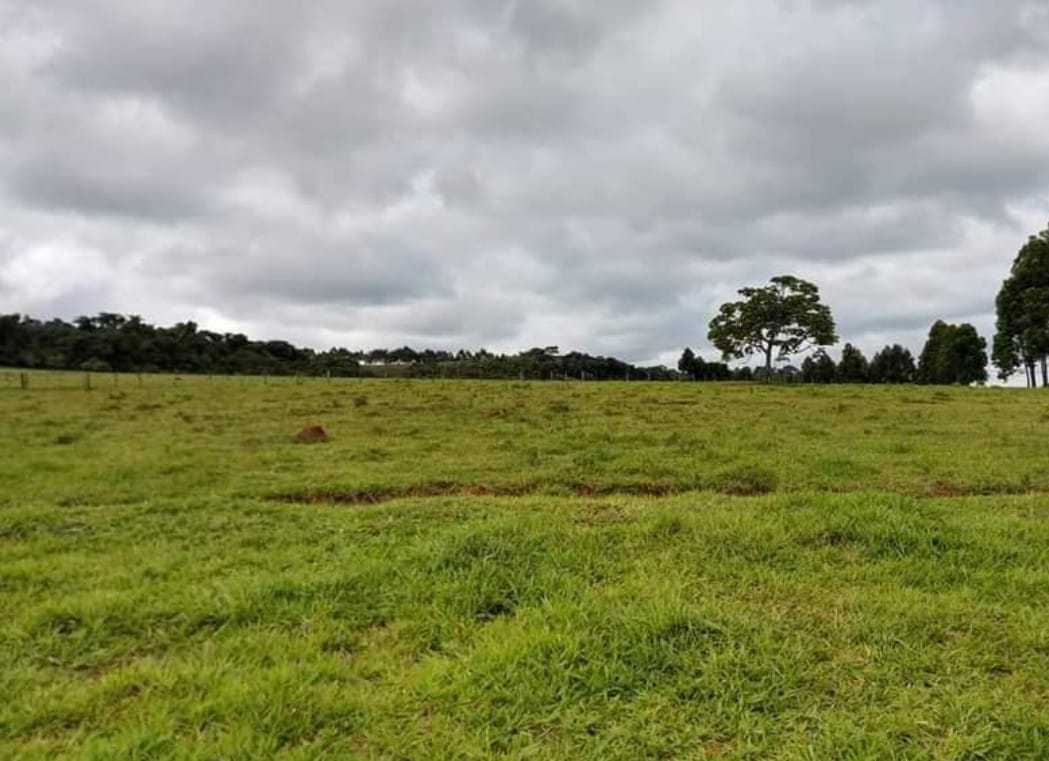 Chácara à venda com 1 quarto, 2510000m² - Foto 2