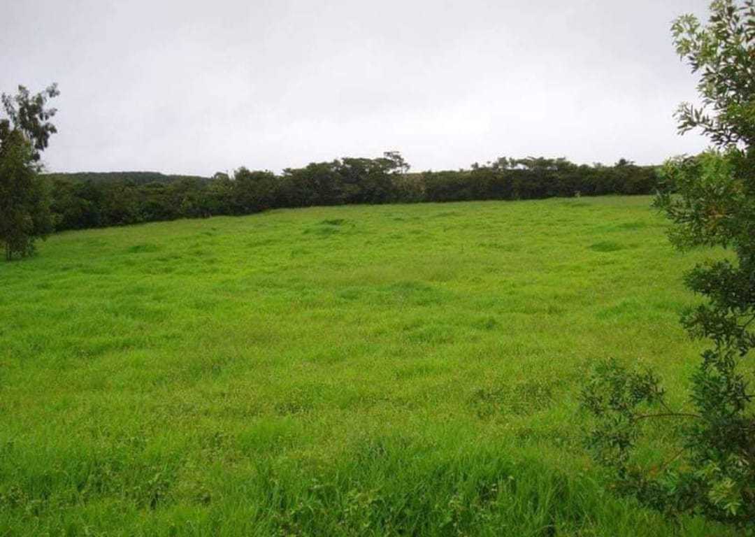 Chácara à venda com 1 quarto, 2510000m² - Foto 1